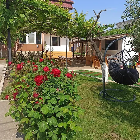 Viila S'un Sfert كوستِنيست